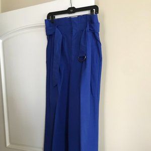 Banana Republic wide leg pants. Bright blue